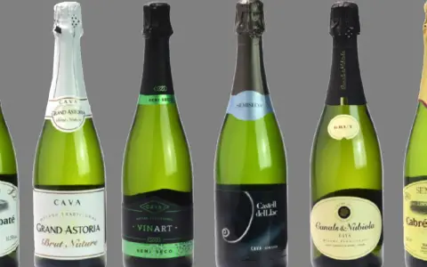 Varias botellas de cava, algunas de ellas de cava mas caro, como Grand Astoria y Canals & Nubiola, con etiquetas de diferentes marcas y tipos.