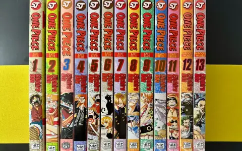 Reihe von 13 One Piece Manga-Bänden, nummeriert von 1 bis 13, mit bunten Cover-Illustrationen.