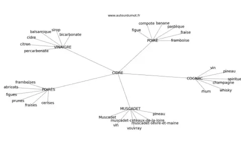 Carte mentale des synonymes et associations du mot CIDRE : poire, vinaigre, fruits, cognac, muscadet.