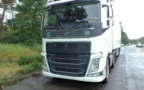Transport ryb z Norwegii do Polski: 15 kg legalnie? Sprawdź!