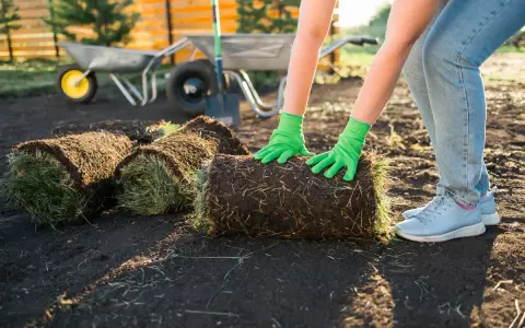 Ręce w zielonych rękawiczkach układają zwiniętą darń. W tle taczka i łopata, gotowe do pracy z mulczerem do trawy.