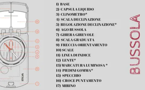 Schema dettagliato di come è fatta una bussola, con le sue parti numerate e descritte: base, capsula liquida, ago, scala graduata e specchio.