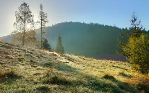Stare Wierchy: Szlaki, widoki, schronisko zaplanuj idealną wycieczkę