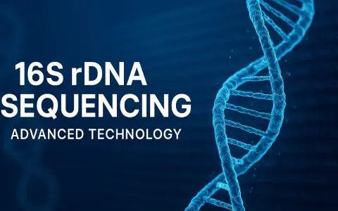 Sequenziamento del gene 16S rDNA, una tecnologia avanzata che svela i segreti del DNA.