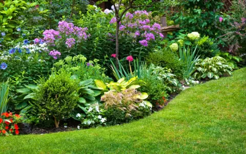 Jardín exuberante con variedad de plantas que aguantan el sol, flores moradas, azules y rojas, césped verde y arbustos bien cuidados.