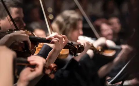 Orkiestra wykonuje muzykę renesansu w Polsce. Skupienie na dłoniach grających na skrzypcach.
