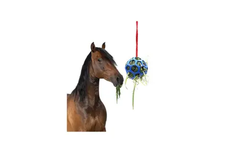 Un cheval mange de l'herbe d'une balle suspendue, un concept pour fabriquer un distributeur automatique de nourriture pour chevaux.