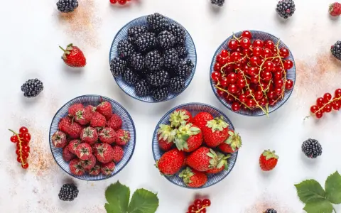 Miseczki z jeżynami, malinami, truskawkami i czerwonymi porzeczkami. Idealne owoce na keto, które dodadzą smaku i witamin.