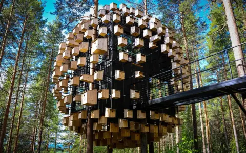 Treehotel Sweden: en sfärisk byggnad täckt av fågelholkar, omgiven av tallskog. En gångbro leder till den unika arkitekturen.