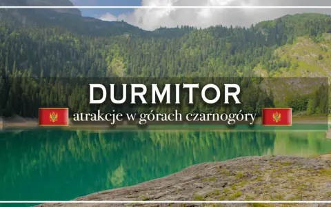Jezioro w Durmitor National Park, Czarnogóra. Woda odbija gęsty las i skaliste zbocza.