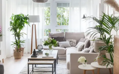 Salón acogedor con rincones decorar con plantas. Sofá beige, mesas de centro de madera y alfombra geométrica.