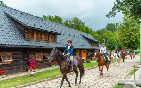 Stadnina Koni Olimpia: Czy to Twój Raj dla Jeźdźców i Koni?