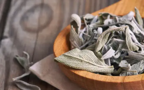 Get inspired for your next salbei rezepte! Getrocknete Salbeiblätter in einem Holzlöffel, bereit für köstliche Gerichte.