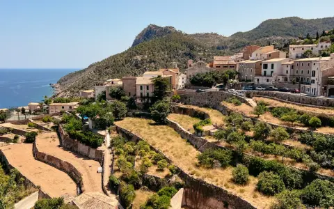 Terrassierte Hänge mit Bäumen und Trockenfeldern im **Tramuntana Gebirge** auf Mallorca. Im Hintergrund das Meer und ein Dorf.