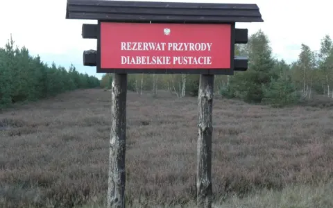 Rezerwat przyrody Diabelskie Pustacie - piękno wrzosowisk i szlaków