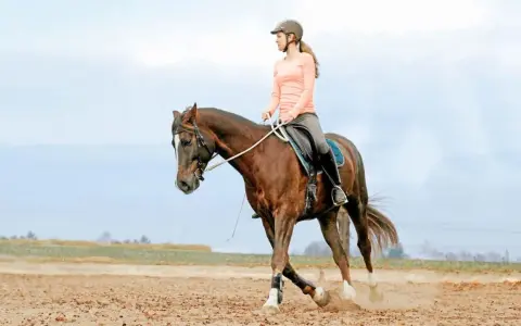 Reiterin auf braunem Pferd im Trab auf einem Sandplatz. Die Volten bedeuten für sie und ihr Pferd eine harmonische Lektion.