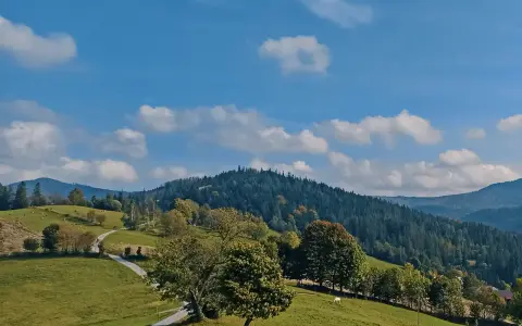 Zielony krajobraz Beskidów z krętą drogą, drzewami i lasem. To jedne z najpiękniejszych szlaków w Beskidach.