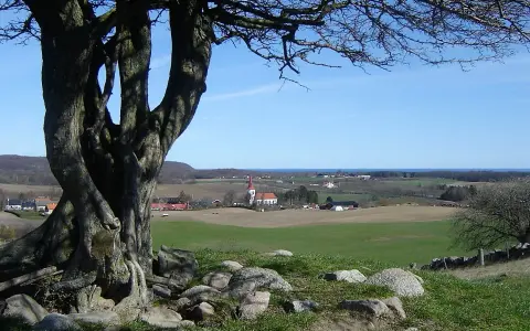 Vacker vy över Skåne Tranås med en kyrka och böljande fält. Ett gammalt träd dominerar förgrunden.