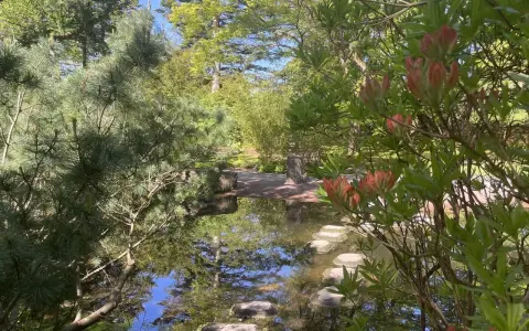 En lugn damm med stenar som leder över vattnet i en vacker del av botaniska trädgården i Göteborg.