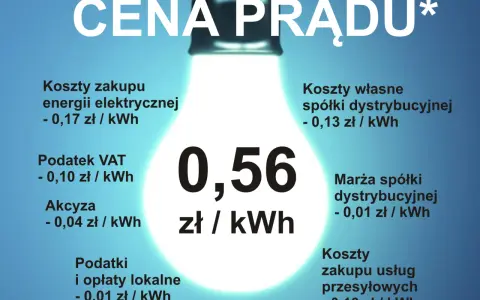 Prąd w domu: Ile zużywasz? Sprawdź średnie i obniż rachunki!
