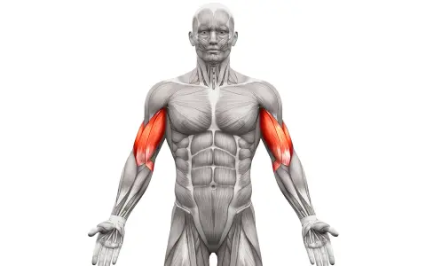 Jak rozciągać biceps? Uniknij 5 błędów i zyskaj siłę!