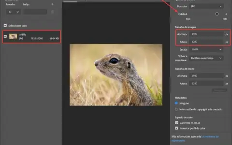 Jak zmniejszyć obraz w Photoshopie bez utraty jakości i czasu