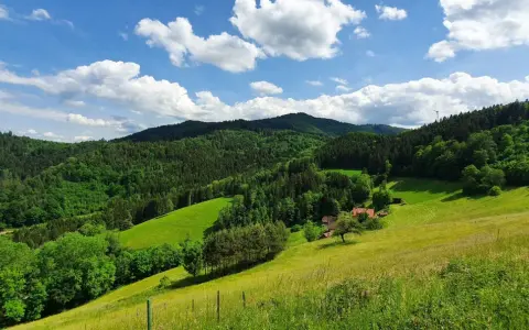 Grüne Hügel und Wälder am Hausacher Bergsteig unter blauem Himmel mit weißen Wolken. Ein Bauernhof mit roten Dächern liegt eingebettet in der Landschaft.