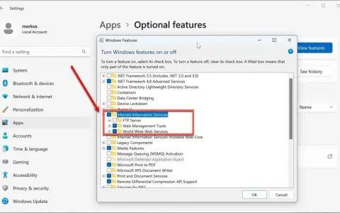 Windows-Einstellungen: "Internet Information Services" (IIS) wird als optionales Feature aktiviert, inklusive FTP und Web-Diensten.