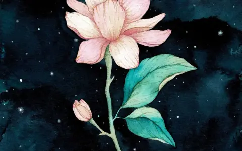 Une magnifique aquarelle sur fond noir, représentant une fleur de magnolia rose pâle avec des feuilles vertes et un petit bourgeon, le tout baignant dans une douce lumière étoilée.