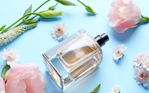 Gute und günstige Parfums: Top Empfehlungen für jeden Geldbeutel