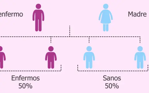 Diagrama de herencia genética: padre enfermo (morado) y madre sana (azul) tienen 50% de hijos enfermos y 50% sanos.