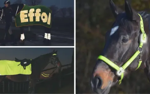 Sicher reiten im dunkeln mit reflektierender Ausrüstung. Pferde und Reiter sind gut sichtbar, auch bei Nacht.