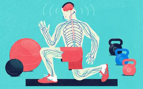 En person utför en utfall med synligt nervsystem, som en kroppsscanning. Träningsredskap som kettlebells och bollar finns i närheten.