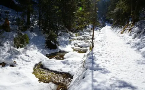 Śnieżna ścieżka wzdłuż strumienia w **dolinie białego** lasu. Słońce przebija się przez drzewa, tworząc refleksy na wodzie.