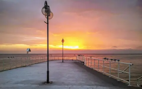 Jakie muszle znajdziesz w Bałtyku? Rozpoznaj swoje plażowe skarby