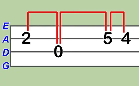 Diagramm zeigt Mandoline Akkorde: E, A, D, G Saiten mit Fingersatzmarkierungen 2, 0, 5, 4.