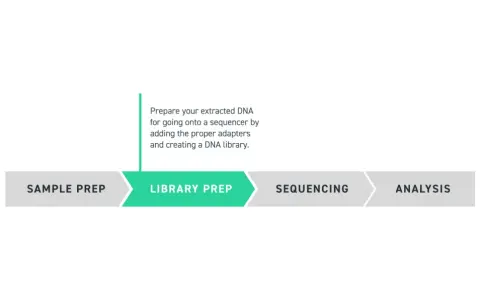 Diagrama del proceso de secuenciación: preparación de muestra, preparación de librería para exoma completo, secuenciación y análisis.