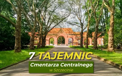 Ile hektarów ma cmentarz w Szczecinie? Poznaj jego ogromną powierzchnię