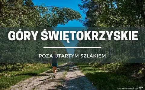 Kobieta idzie leśną ścieżką w Górach Świętokrzyskich, odkrywając nowe szlaki poza utartym szlakiem.
