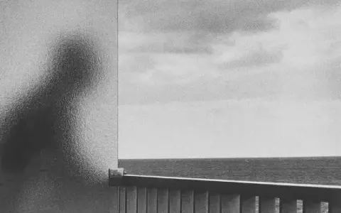 A silhouette of a person, reminiscent of a Peter Fetterman photograph, looks out at the ocean from behind a frosted glass.