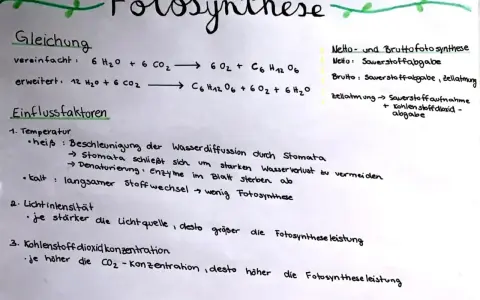 Die Fotosynthese-Gleichung wird erklärt, mit Einflussfaktoren wie Temperatur, Lichtintensität und CO2-Konzentration.