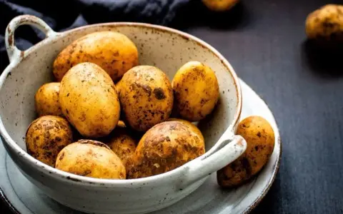Jaki ziemniak na frytki? Odkryj najlepsze odmiany dla chrupkości