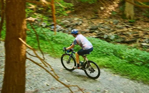 A cyclist enjoys biking 50 miles a week on a gravel path through a lush green forest.