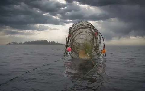 Fiskeredskap i vattnet, redo för att fiska lax. Mörka moln hänger över en grå himmel.