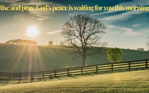 Sunrise over a grassy hill with a fence. The sun's rays shine through a bare tree, inviting the first prayer of the day.