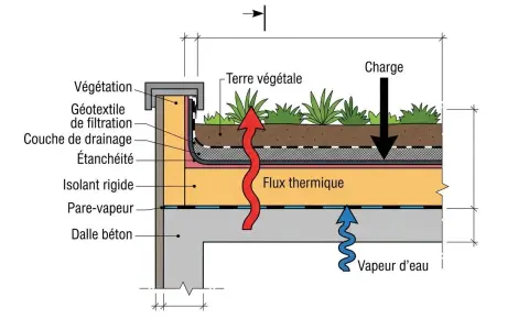 Coupe d'une toiture végétalisée montrant l'isolation par l'extérieur en polyuréthane, le drainage, l'étanchéité et la protection contre la vapeur.