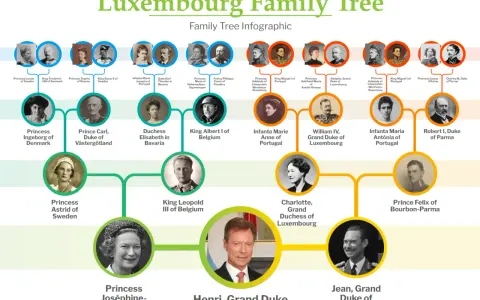 Henri, Grand Duke of Luxembourg, är en del av en släktträd-infografik som visar hans förfäder.