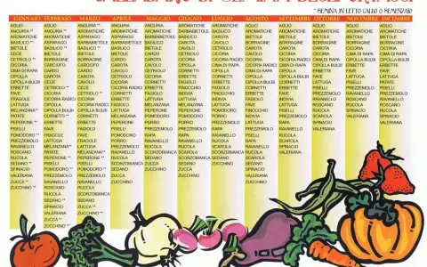 Calendario semine ortaggi: guida mensile per la semina di verdure come pomodori, zucchine e insalate.