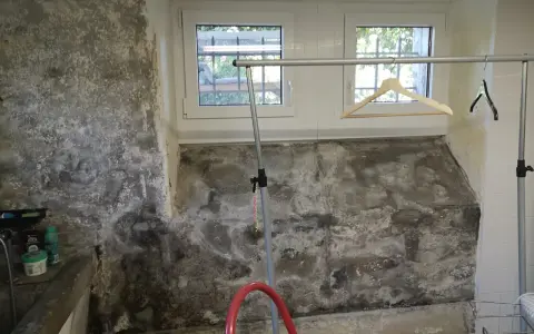 Feuchtigkeit im Keller selbst beseitigen: Schimmel und Salzausblühungen an der Wand erfordern Maßnahmen.