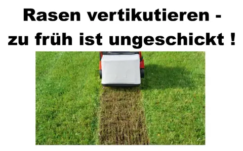 Rasen vertikutieren: Ein Rasenlüfter entfernt Moos und Unkraut. Zu früh ist ungeschickt!